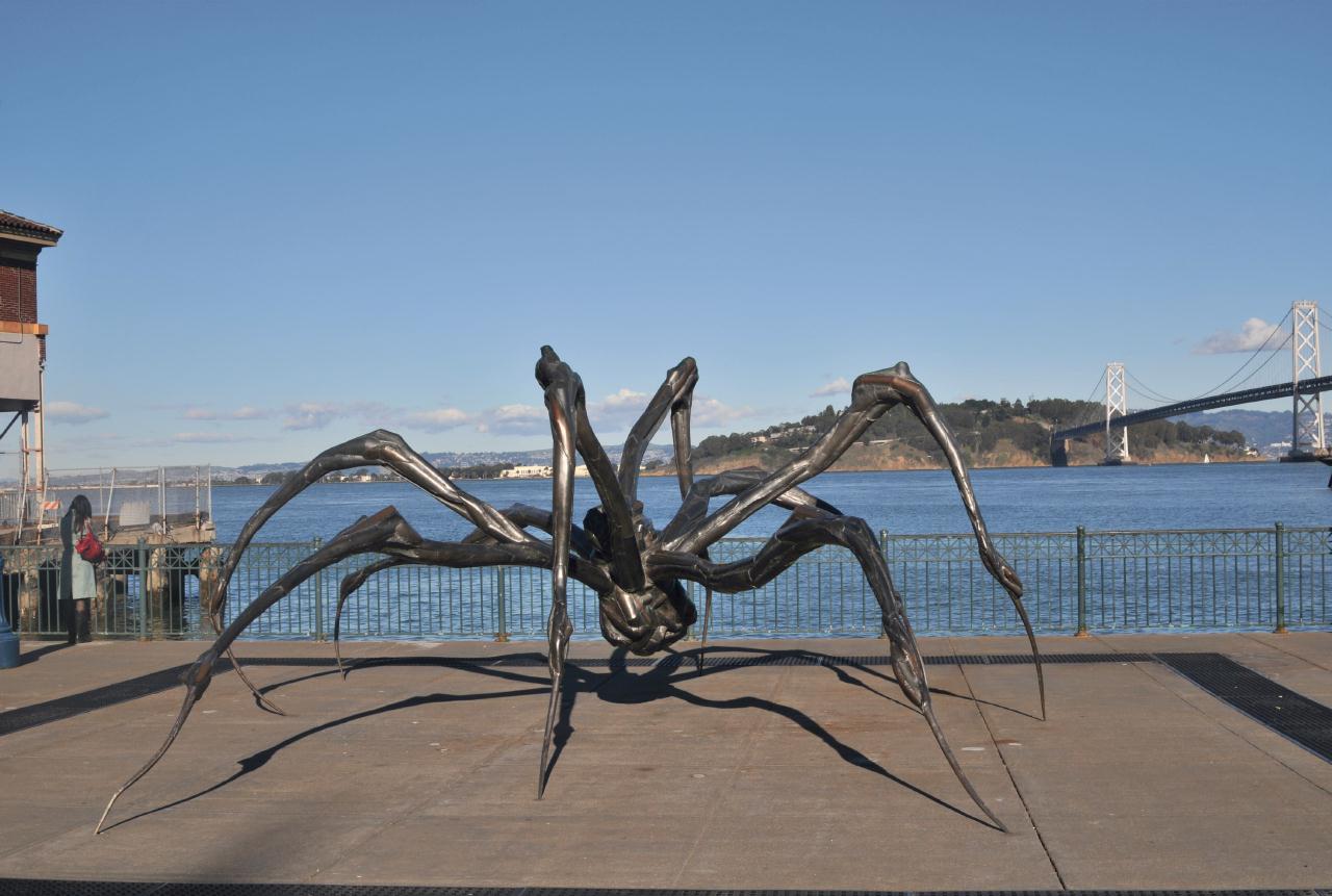 ./CrouchingSpiderLouisBourgeoisSF20090126_08_8665BCX.jpg