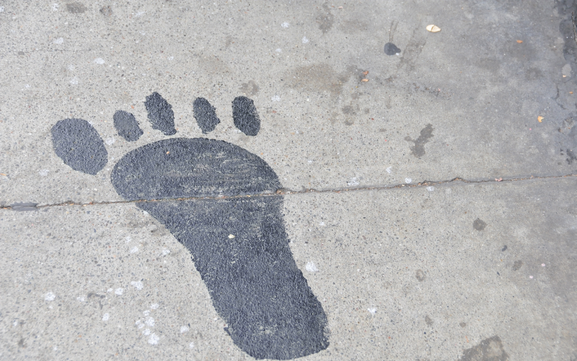 ./Sidewalk_Footprints_San_Francisco_20230907_091132_C23_1792.jpg