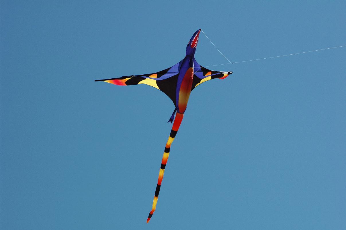 ./KiteAsArt2007000_04.jpg