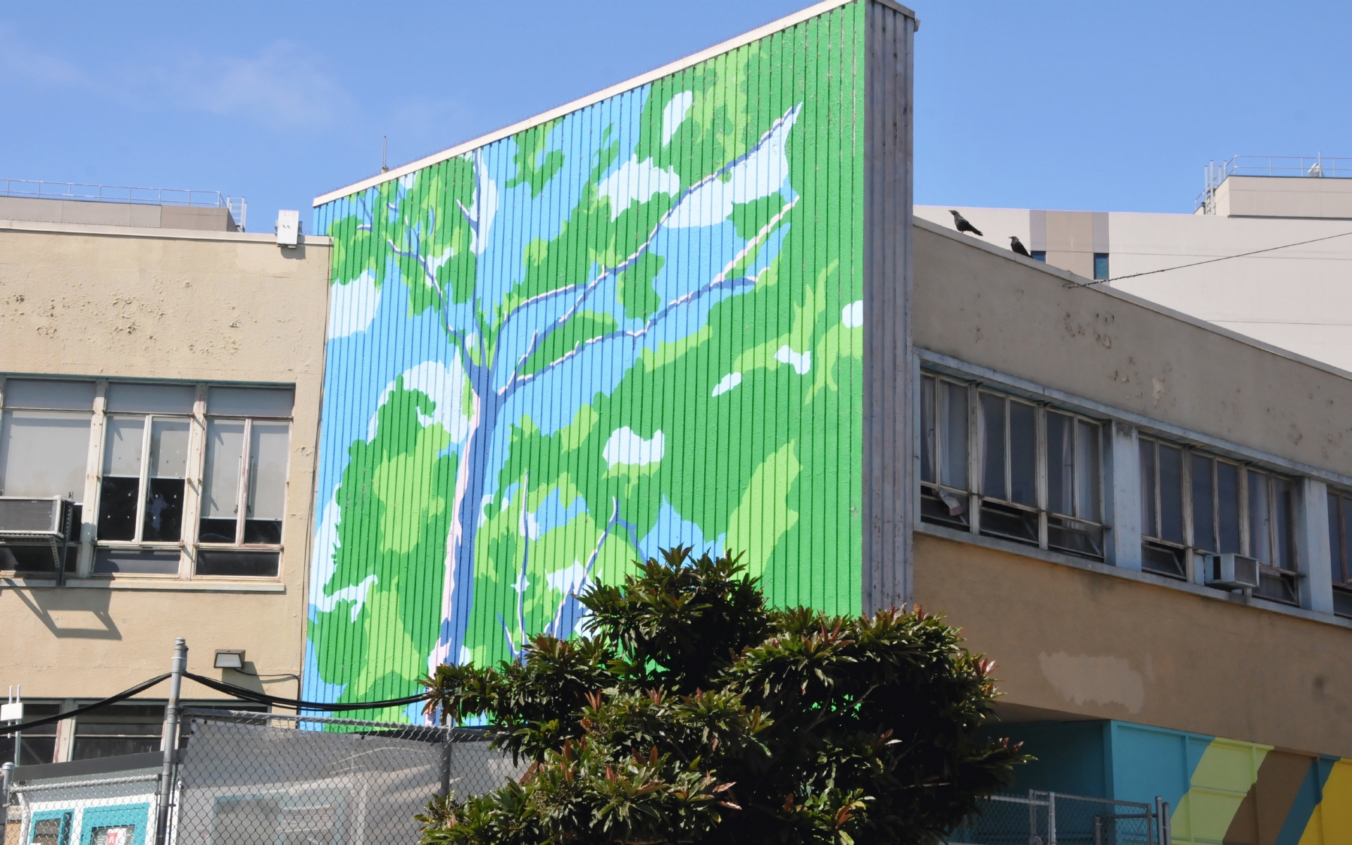 ./Mural_On_Fence_San_Francisco_20230907_114049_C23_1858.jpg