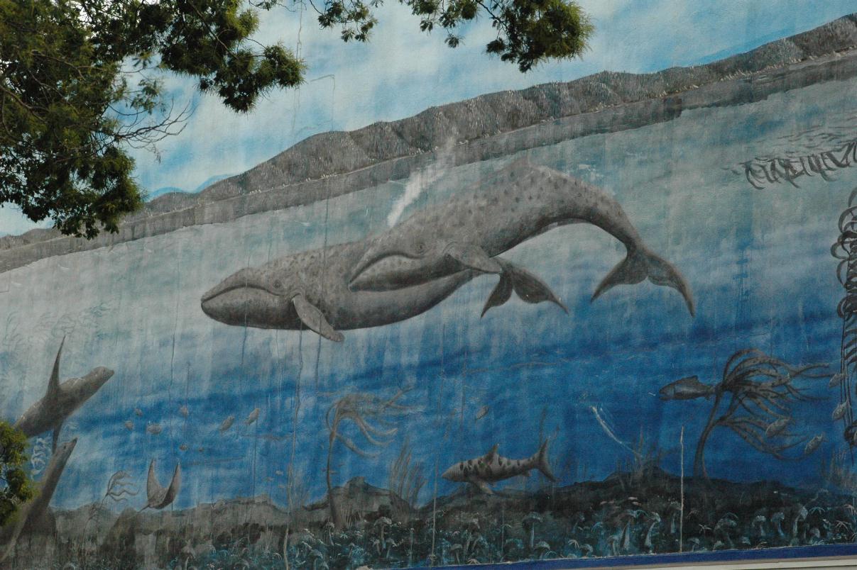 ./Mural20070000_01.jpg