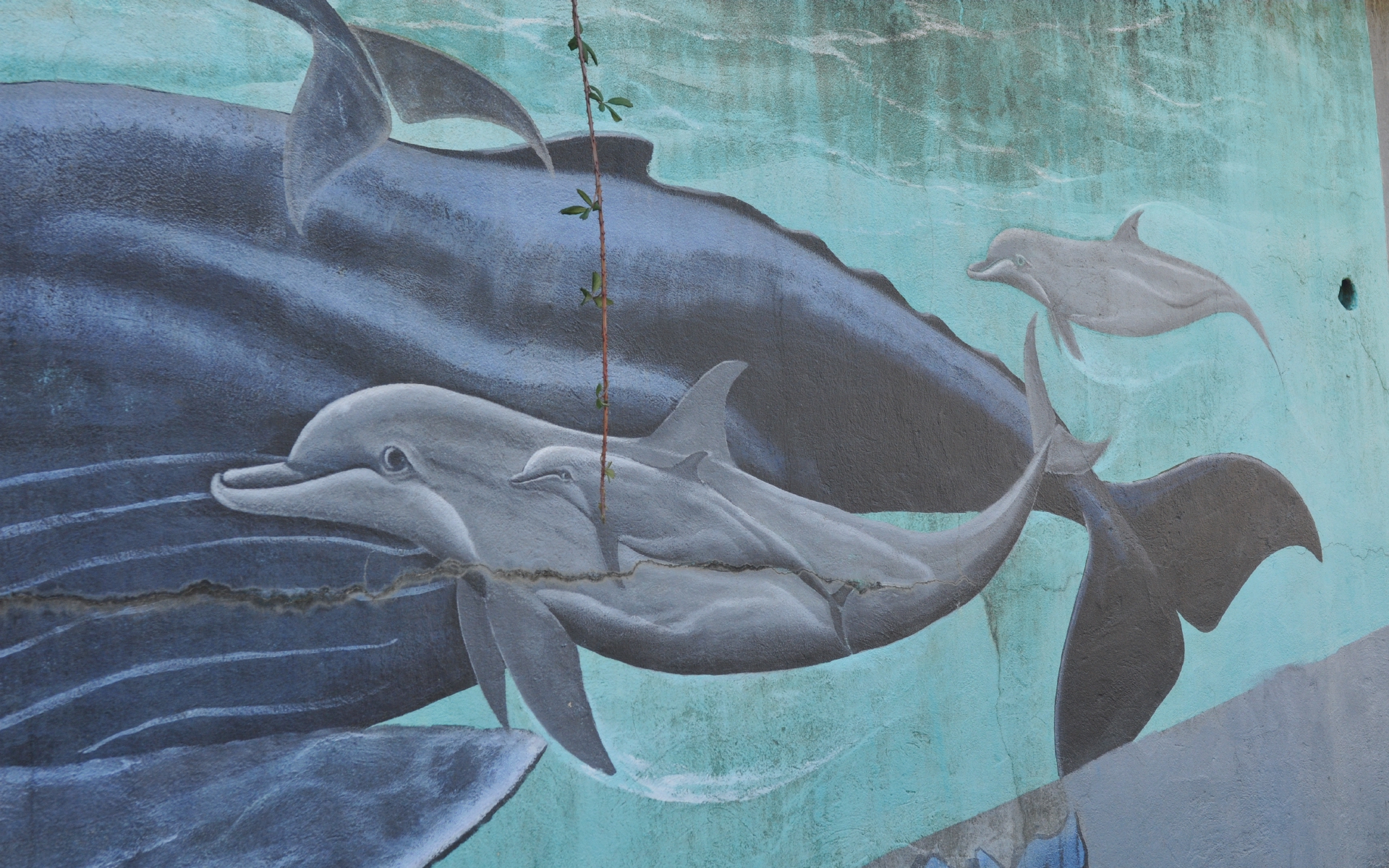 ./Mural_Behind_Sausalito_Library_20191015_130519_C19_4597.jpg