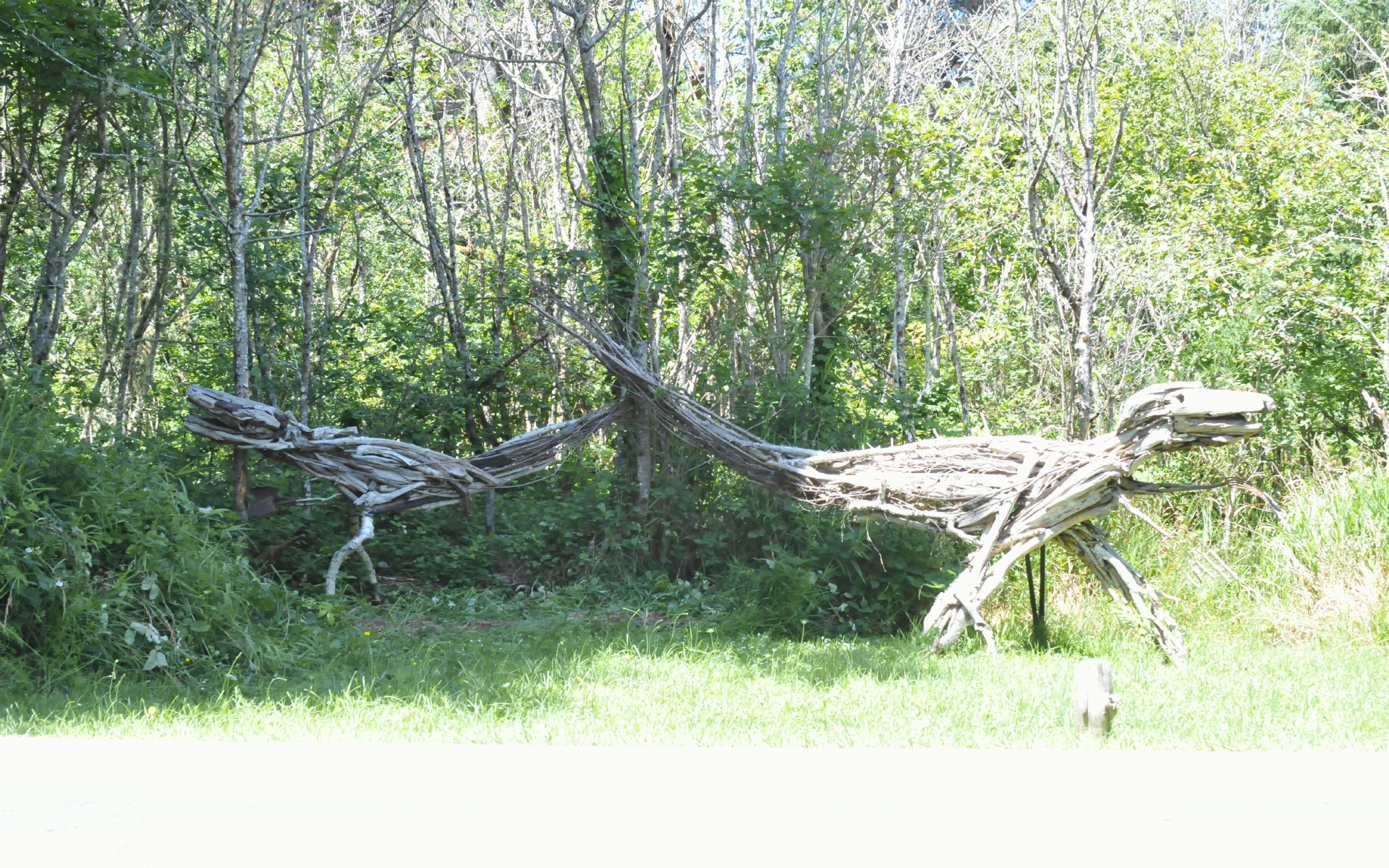 ./Branch_Animal_Art_Near_Bandon_Oregon_20190718_133055_C19_3618.jpg