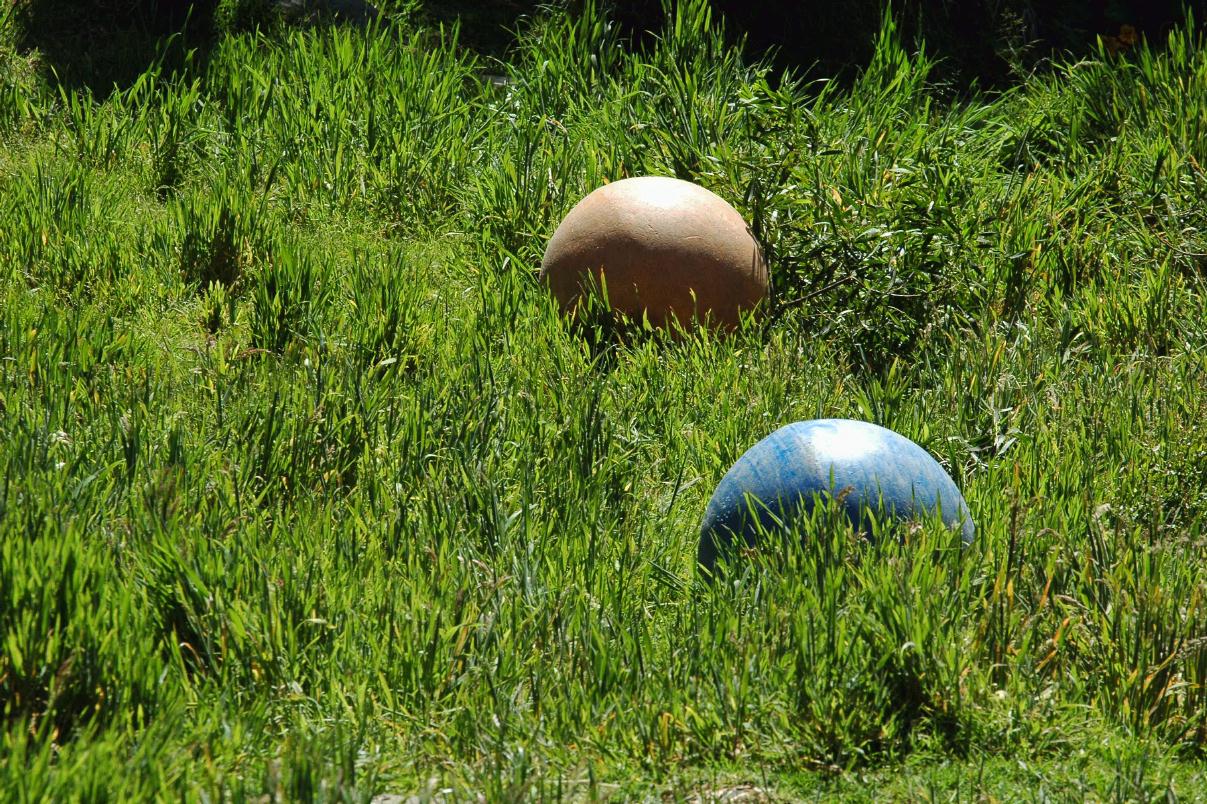 ./Ball20080607_142700_SFZoo_3731B.jpg