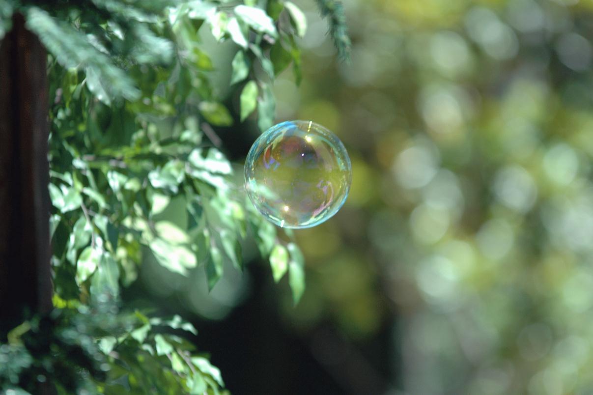 ./Soap_Bubbles20070000_02.jpg