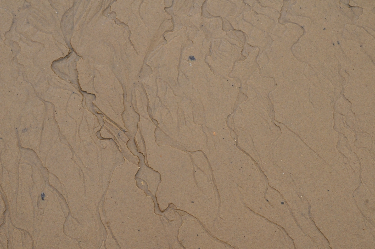 ./Sand_Erosion_20150515_150247_C15_1178.jpg