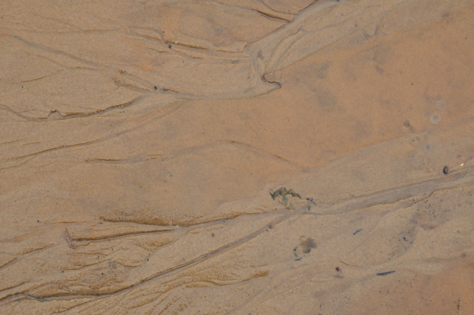 ./Sand_Erosion_20150515_150301_C15_1179.jpg