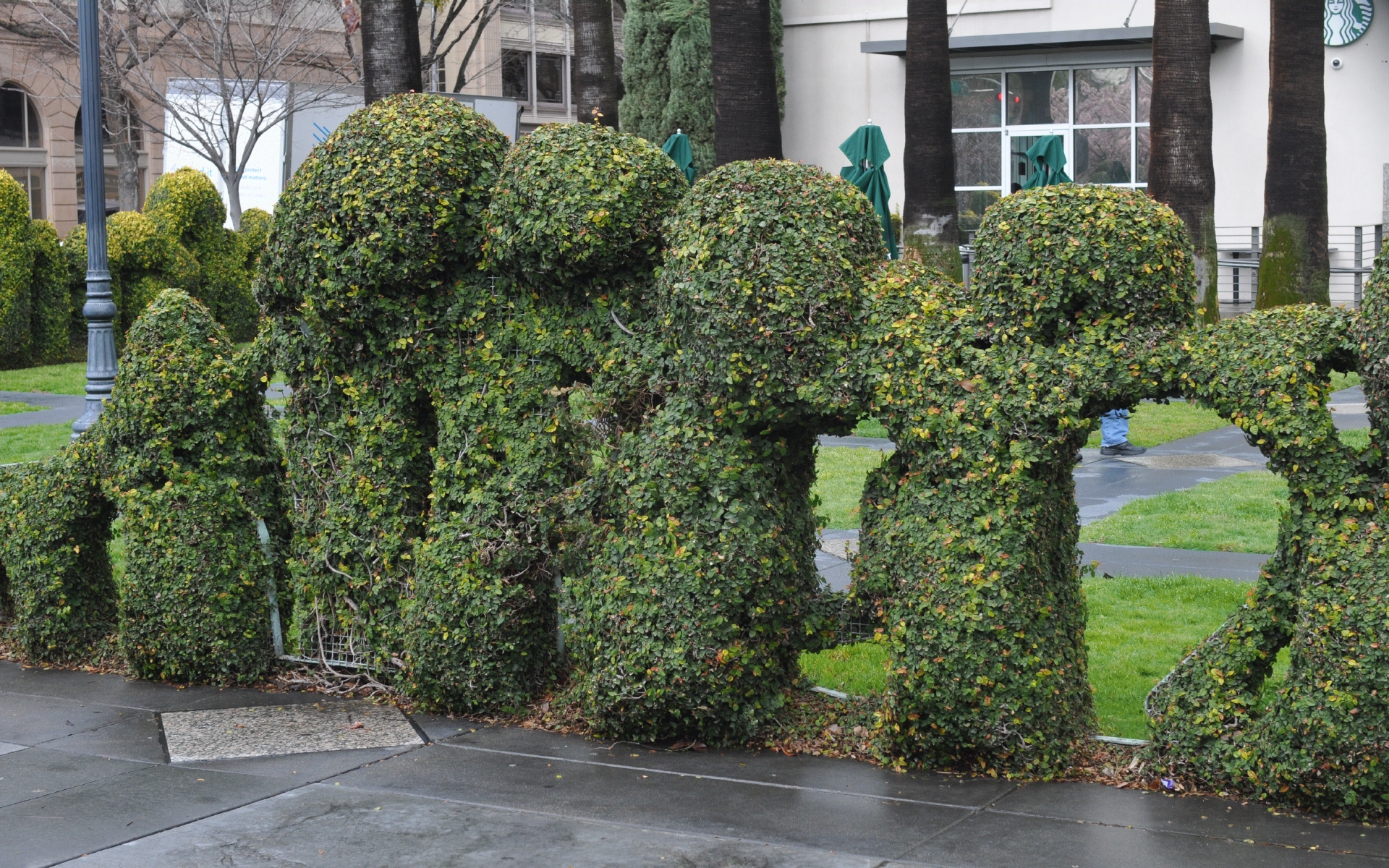 ./Downtown_Sacramento_Topiary_20190227_141731_C19_1970.jpg