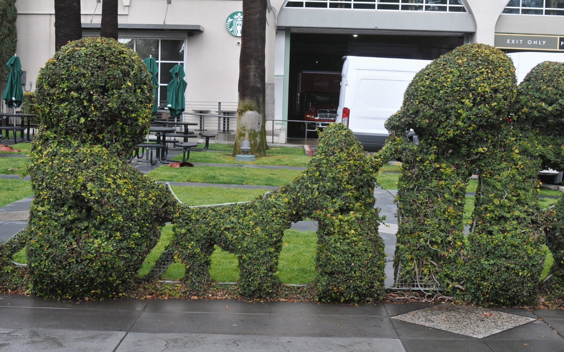 ./Downtown_Sacramento_Topiary_20190227_141743_C19_1571.jpg