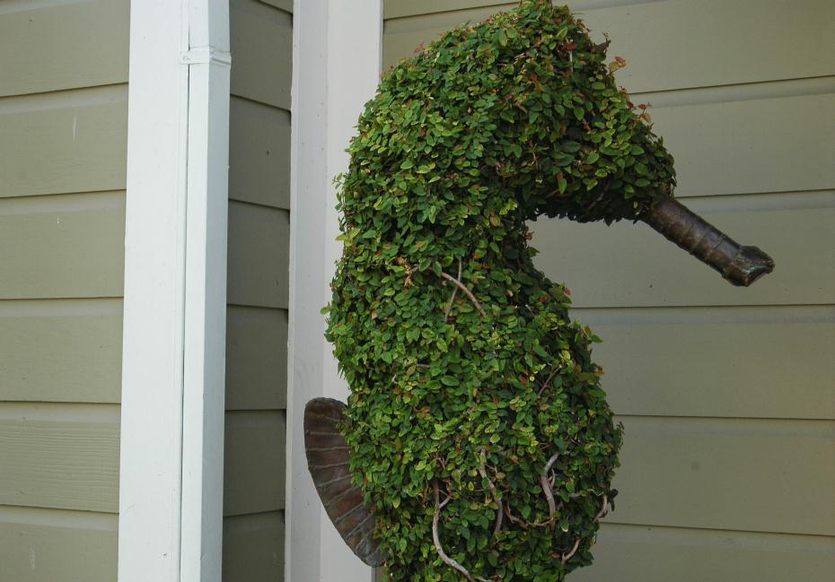 ./Groomed_Topiary_20060000_02.jpg