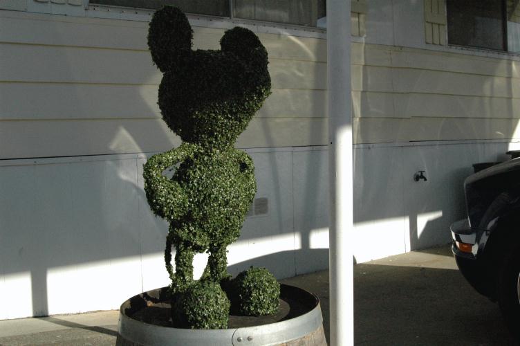 ./Groomed_Topiary_20060000_04.jpg