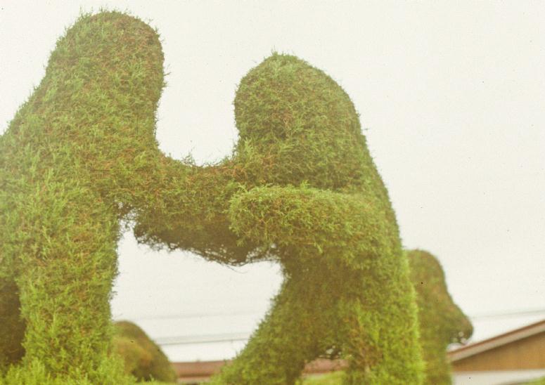 ./Topiary1988_02.jpg