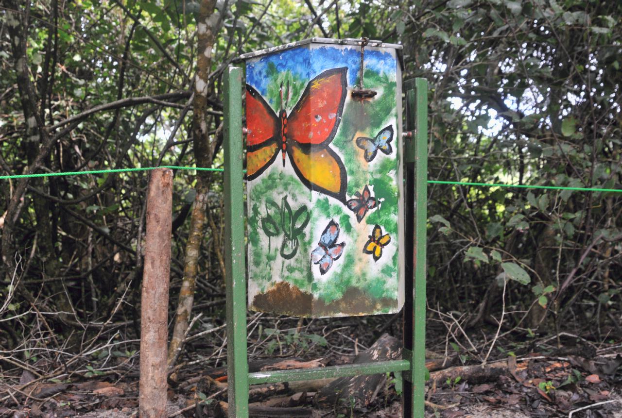 ./Art_Trashcan_20080917_202228_ManuelAntonioNationalParkCostaRica_5452BCX.jpg