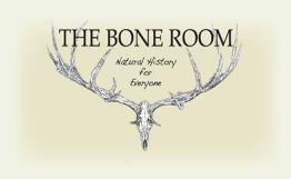 boneroom-logo_orig.jpg