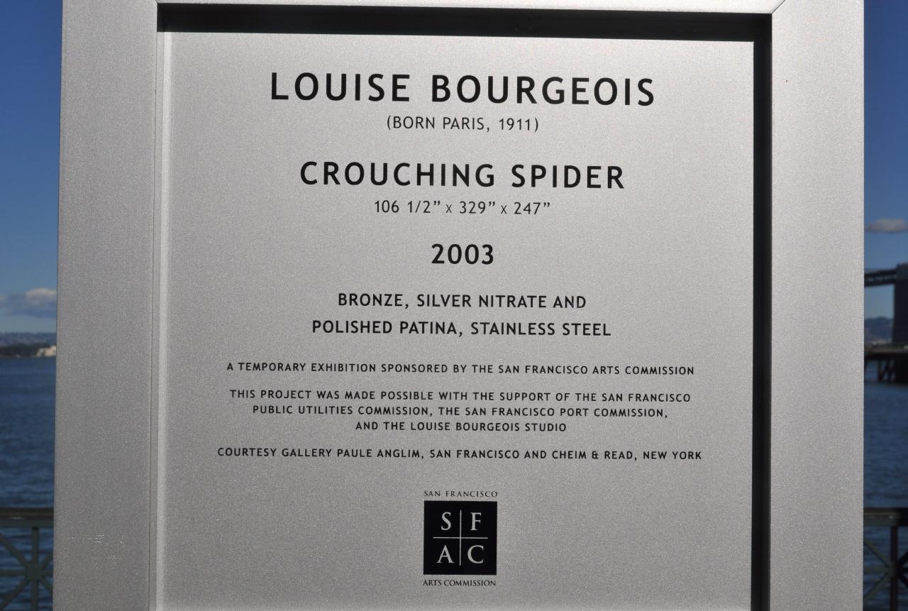 ./CrouchingSpiderLouisBourgeoisSF20090126_00_8658BCX.jpg