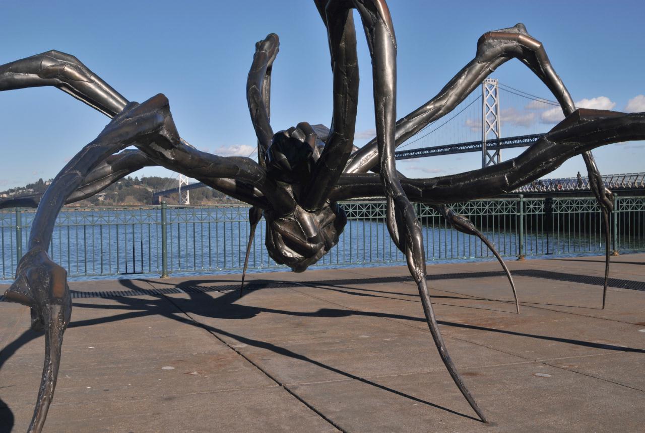 ./CrouchingSpiderLouisBourgeoisSF20090126_02_8659BCX.jpg