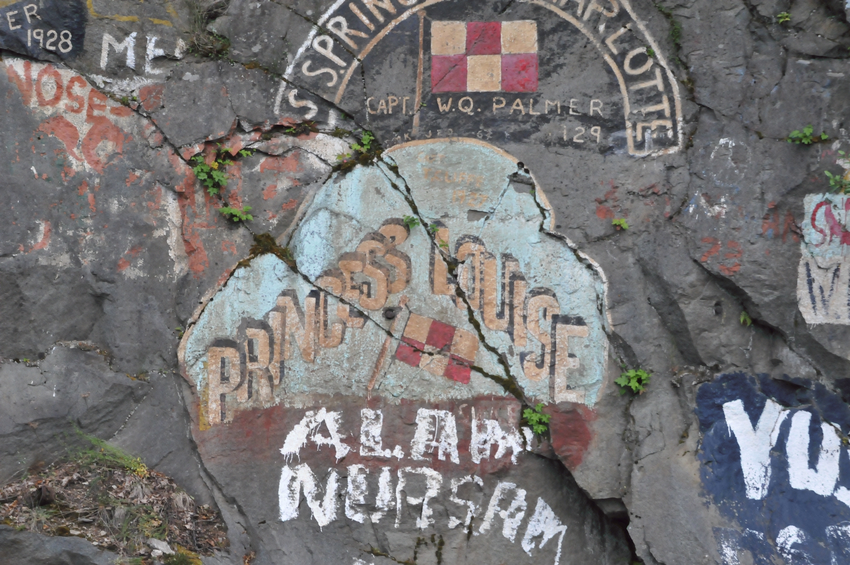 ./Skagway_Alaska_Graffiti_20150604_074812_C15_2359.jpg