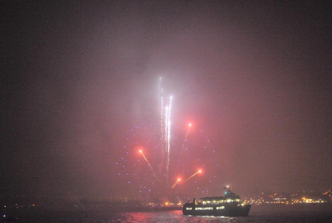 ./FireworksSFBay20080704_1063BCX.jpg