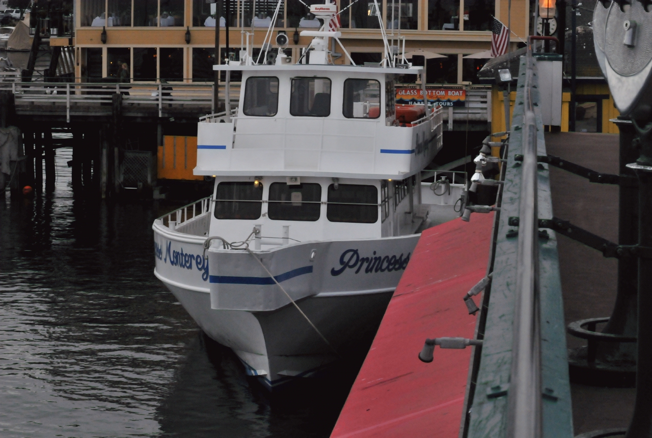 ./Monterey_Whale_Watching_Tour_20101021_091726_BCY_2389.jpg