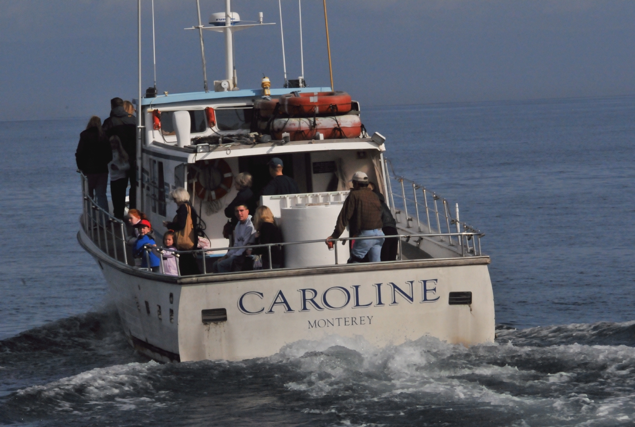 ./Monterey_Whale_Watching_Tour_20101021_100824_BCY_2410.jpg