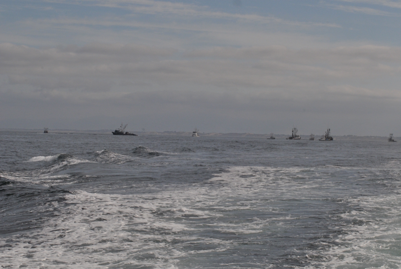 ./Monterey_Whale_Watching_Tour_20101021_102834_BCY_2443.jpg