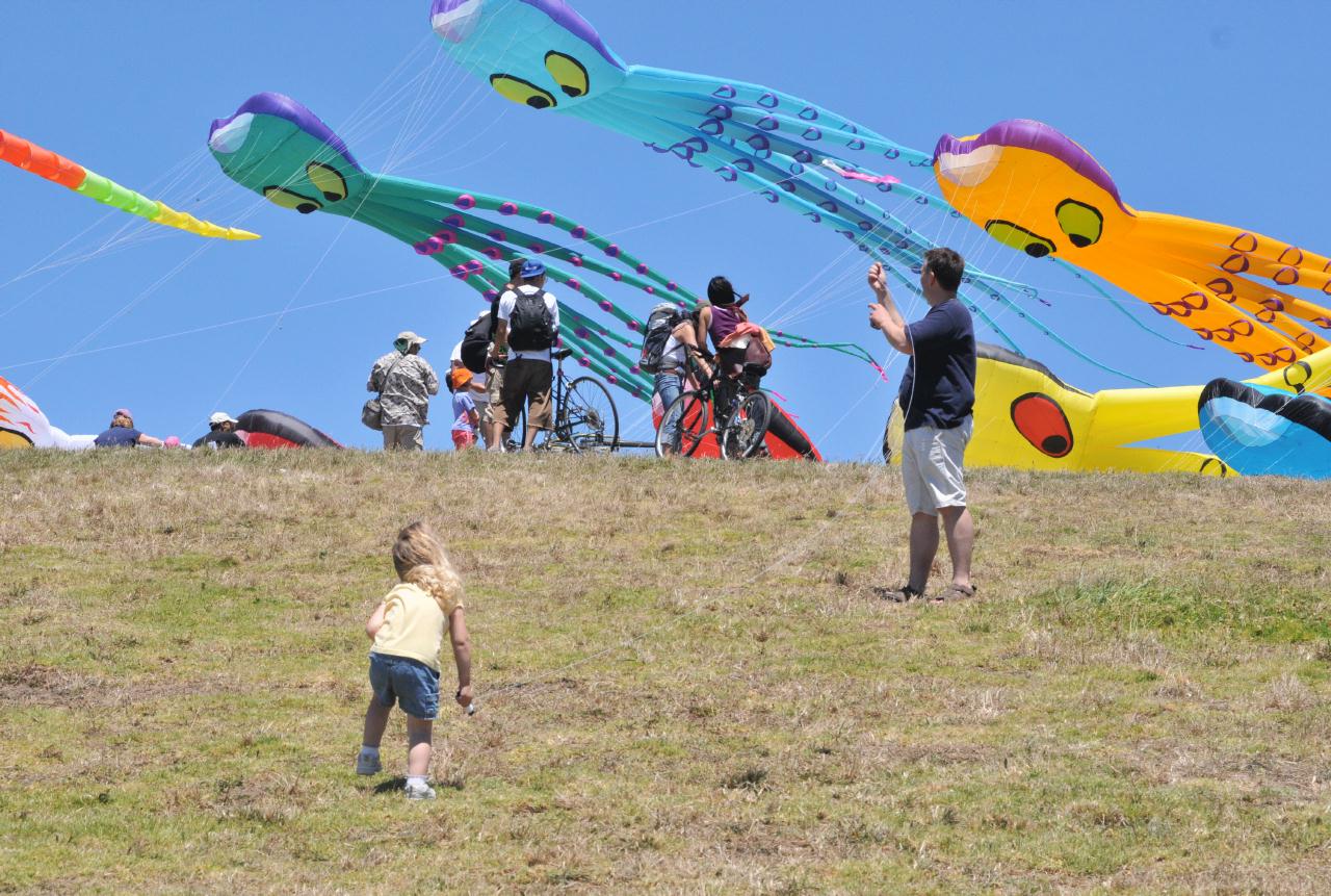 ./BerkeleyKiteFest20080726_01_1477BCX.jpg