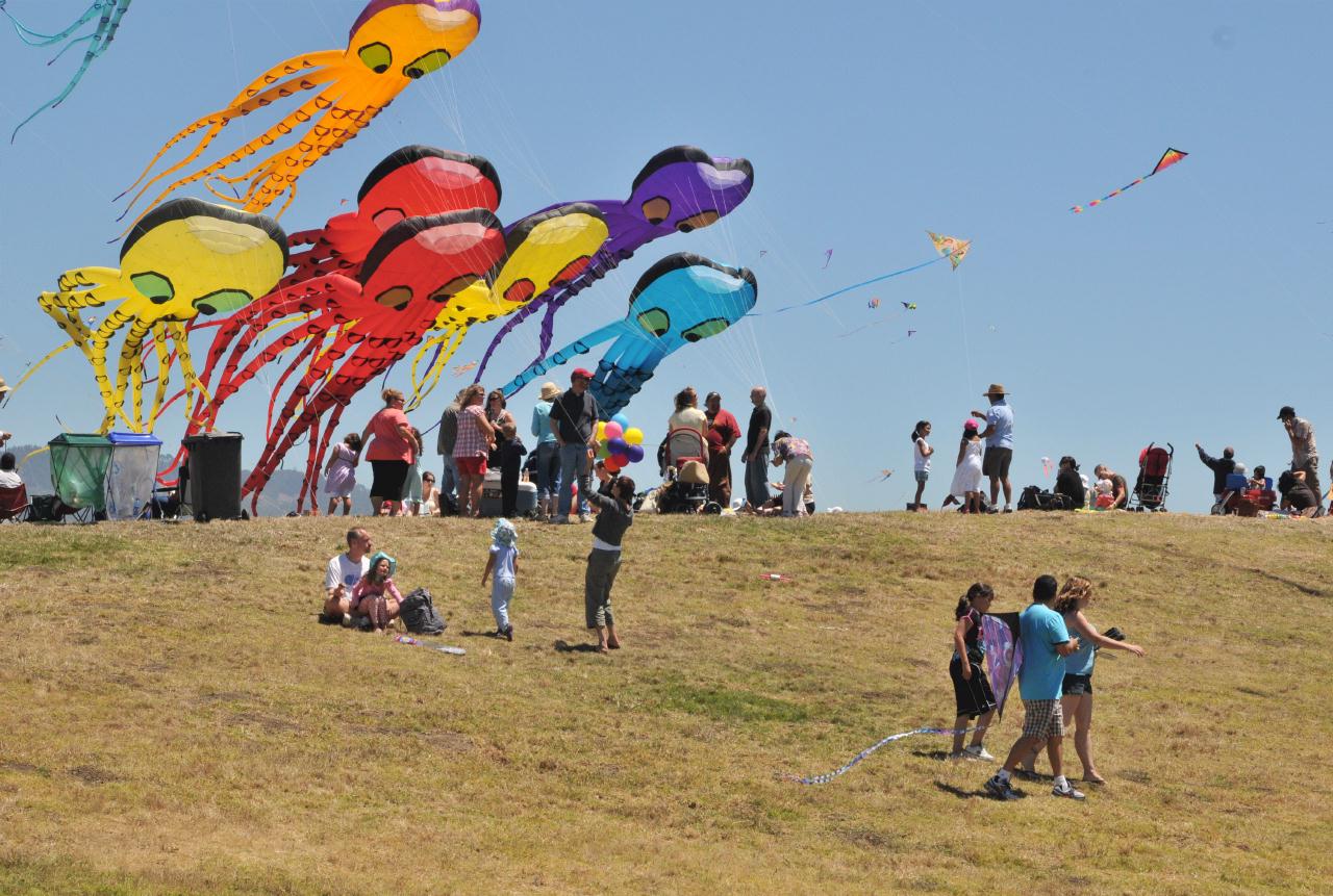 ./BerkeleyKiteFest20080726_09_1485BCX.jpg