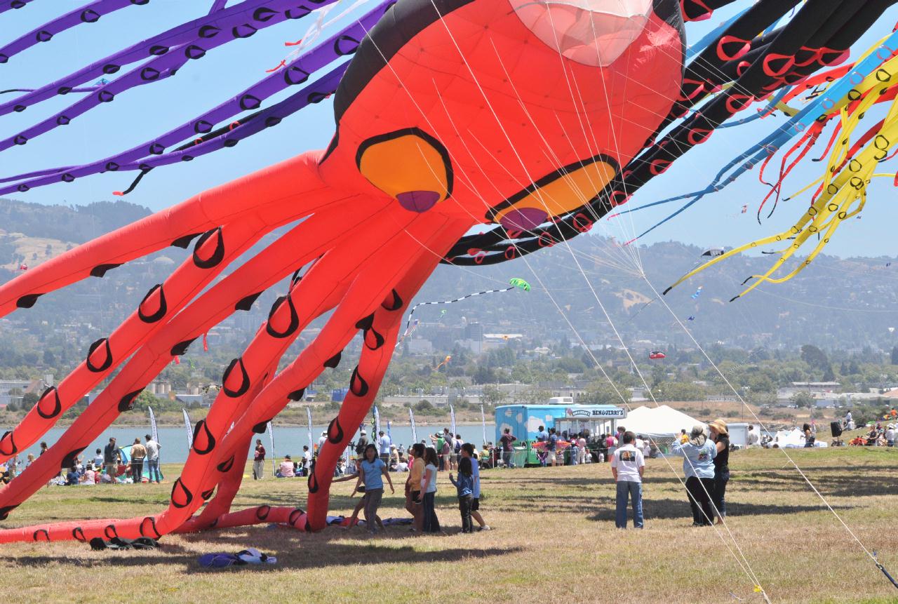 ./BerkeleyKiteFest20080726_12_1489BCX.jpg