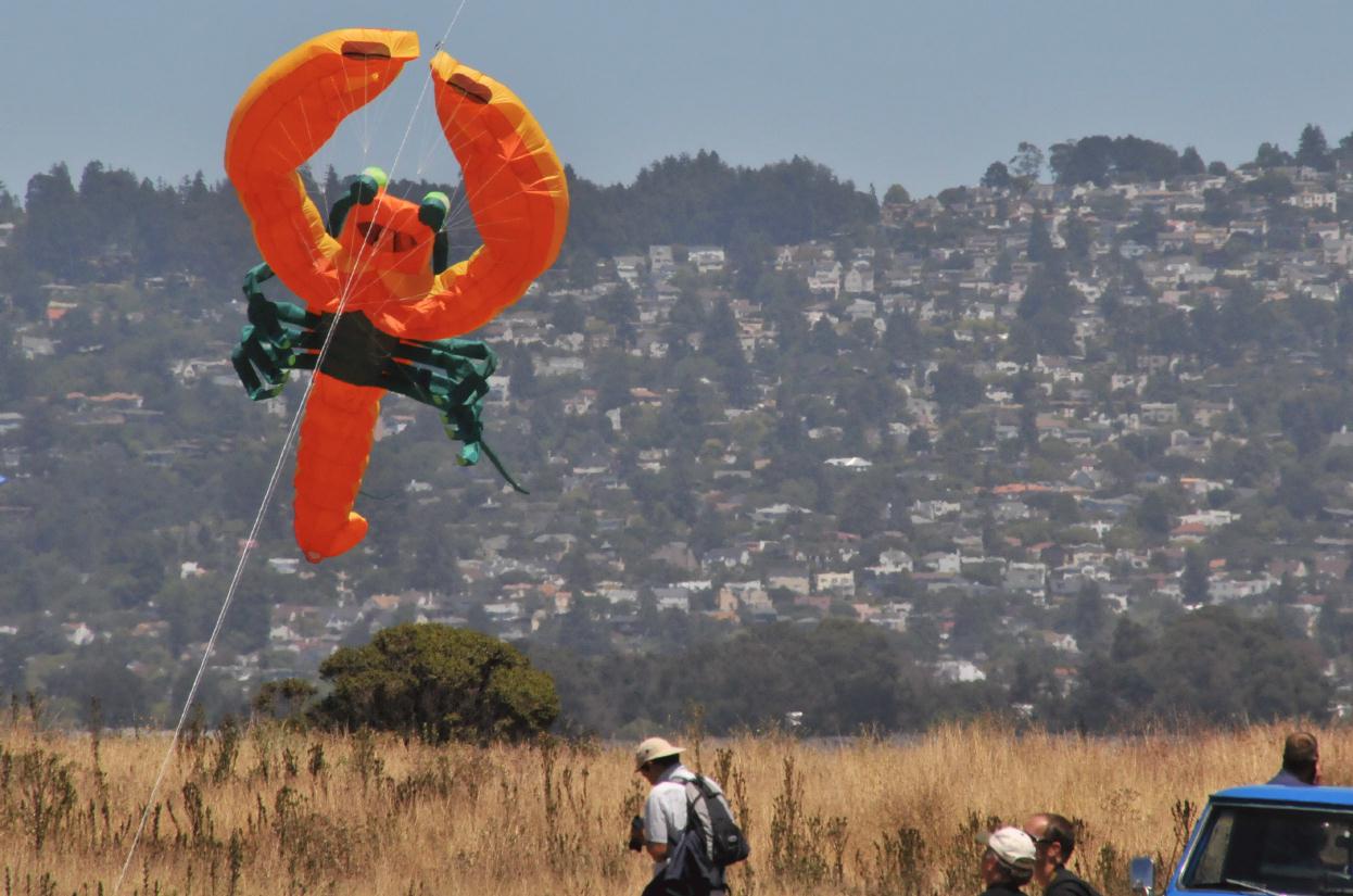 ./BerkeleyKiteFest20080726_27_0617TNT.jpg