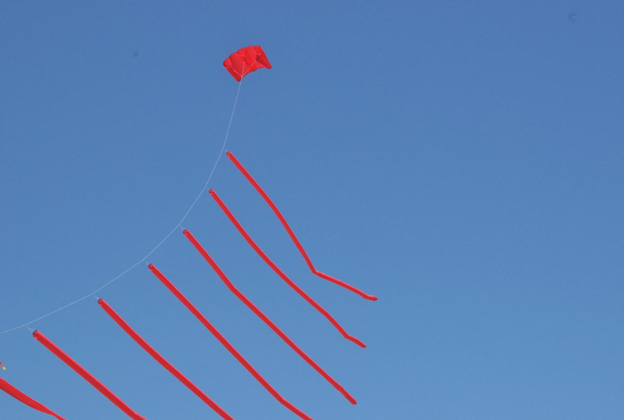 ./BerkeleyKiteFest20080726_32_1518BCX.jpg