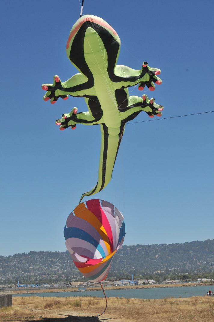 ./BerkeleyKiteFest20080726_34_1520BCX.jpg