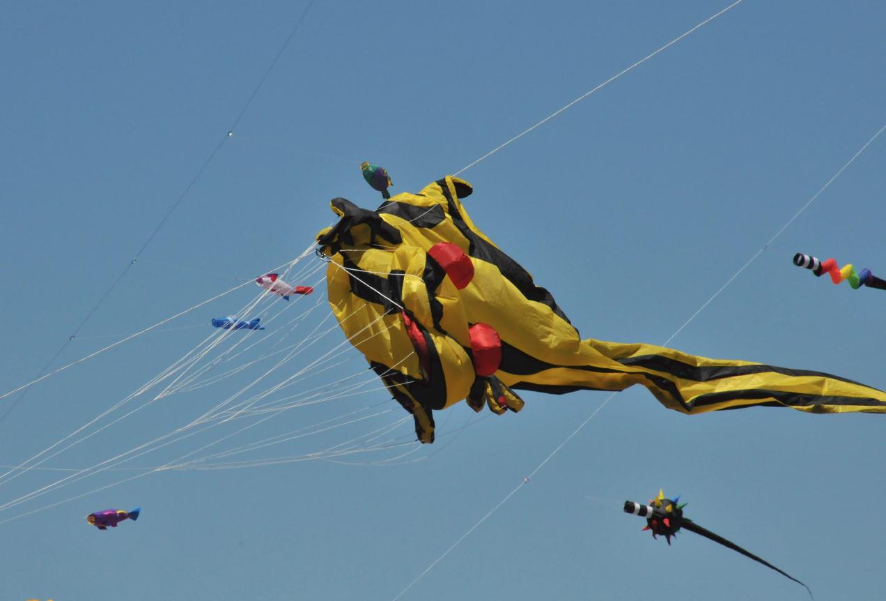 ./BerkeleyKiteFest20080726_37_0630TNT.jpg