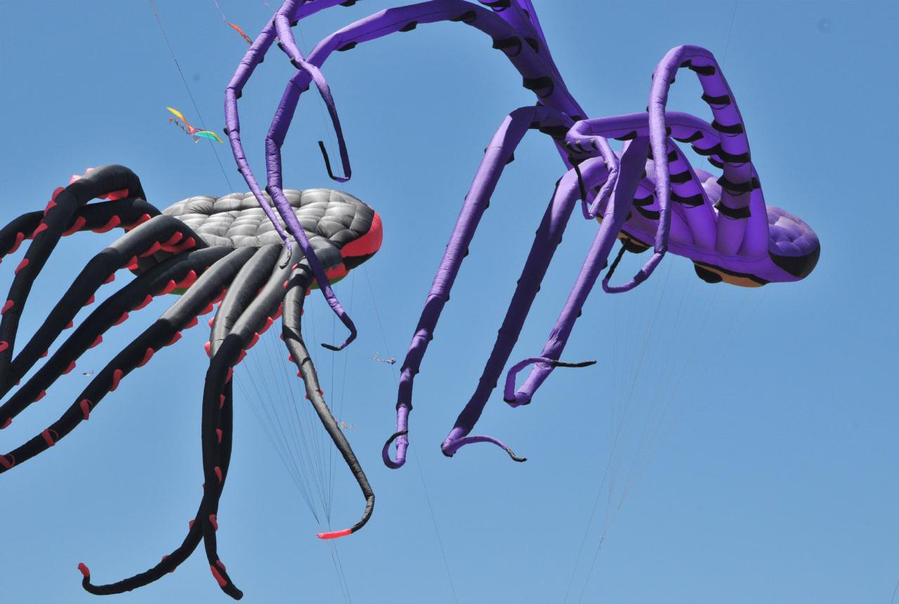 ./BerkeleyKiteFest20080726_42_1531BCX.jpg