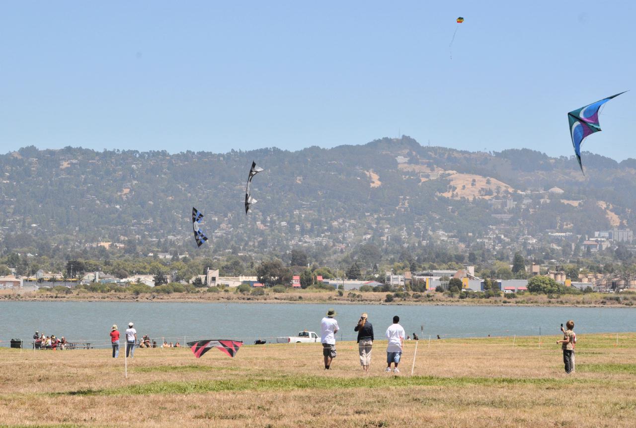 ./BerkeleyKiteFest20080726_47_1541BCX.jpg