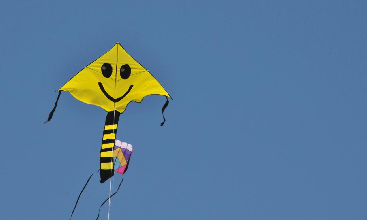 ./BerkeleyKiteFest20080726_54_0653TNT.jpg