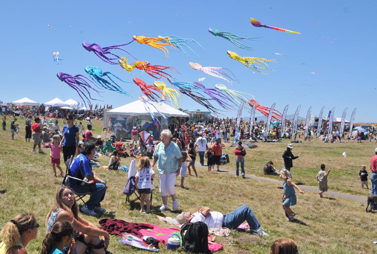 ./BerkeleyKiteFest20080726_55_1548BCX.jpg