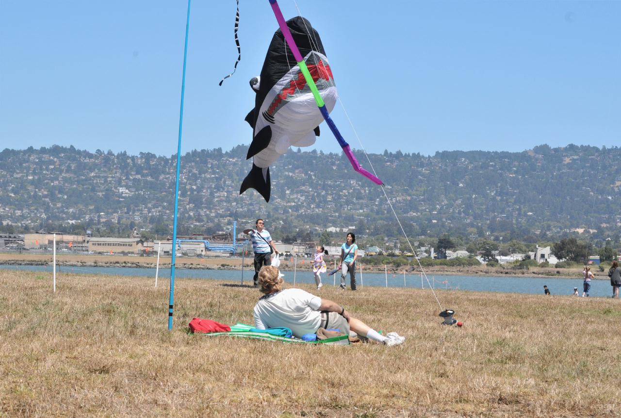 ./BerkeleyKiteFest20080726_57_1551BCX.jpg