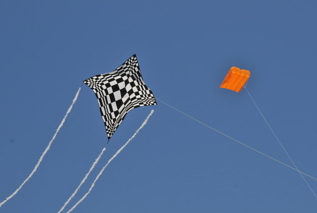 ./BerkeleyKite20090725_31_135846_7519BCX.jpg