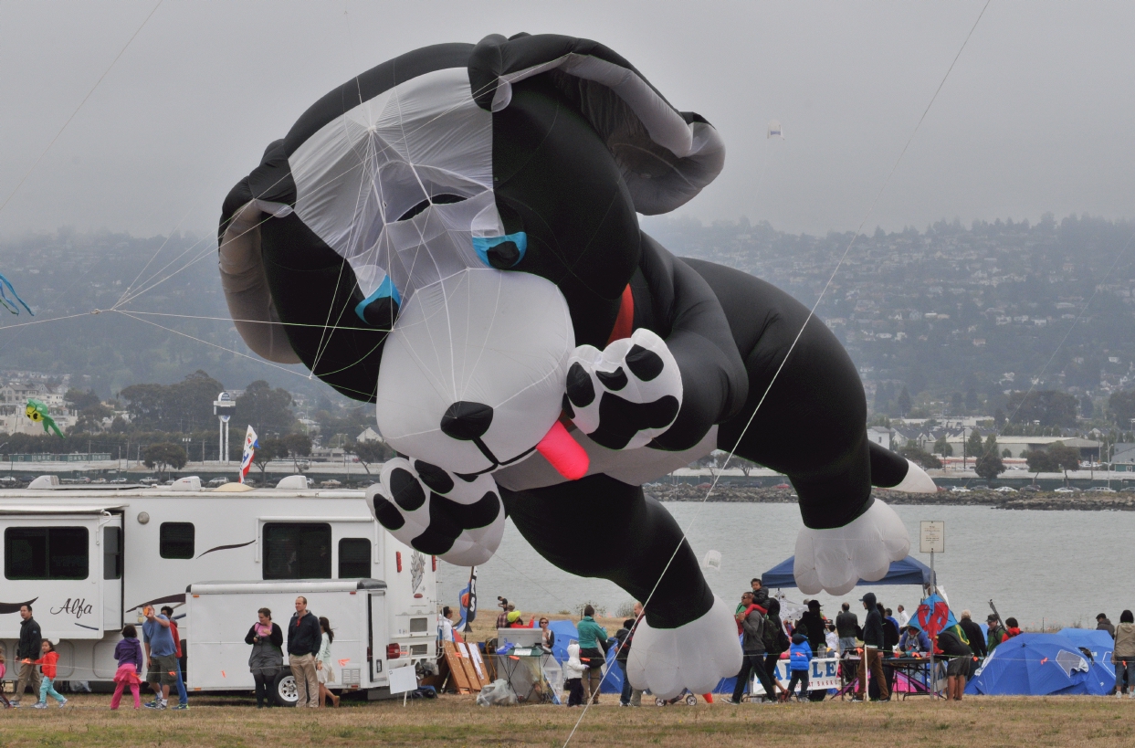 ./Berkeley_Kite_Festerval_20130728_125439_b13_6838.jpg