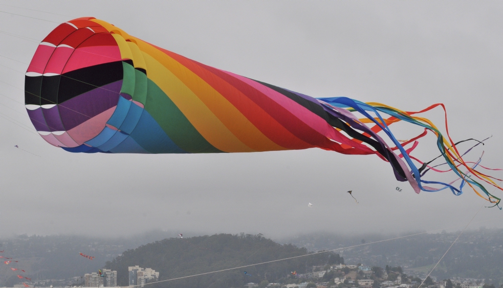 ./Berkeley_Kite_Festerval_20130728_125447_B13_6840.jpg