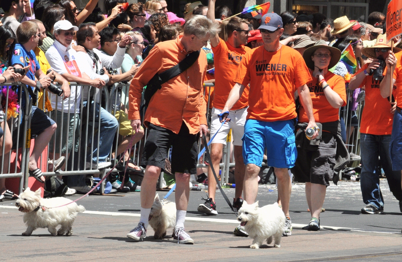 ./San_Francisco_LGBT_Pride_Parade_20130630_123643_B13_6612.jpg