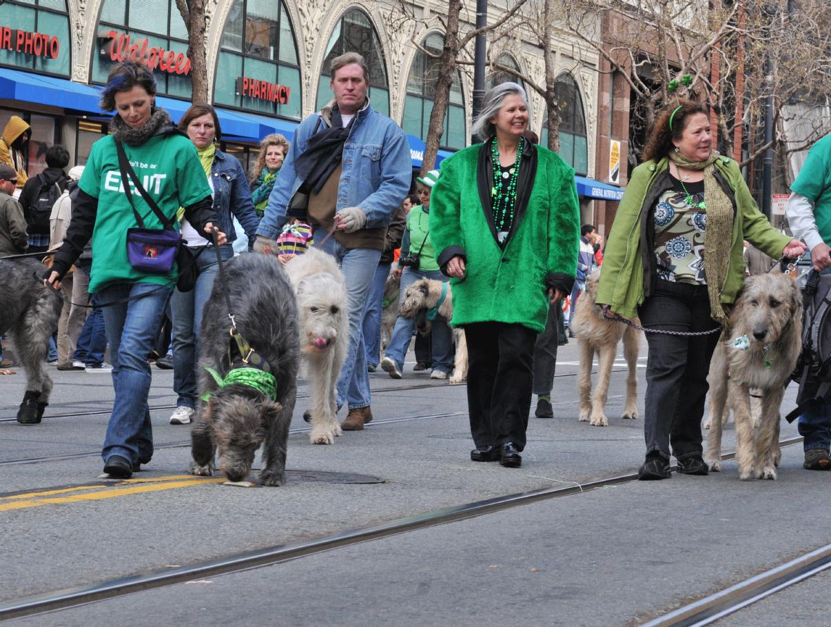 ./StPatrickParade20090314_08_111725_0517BCX.jpg