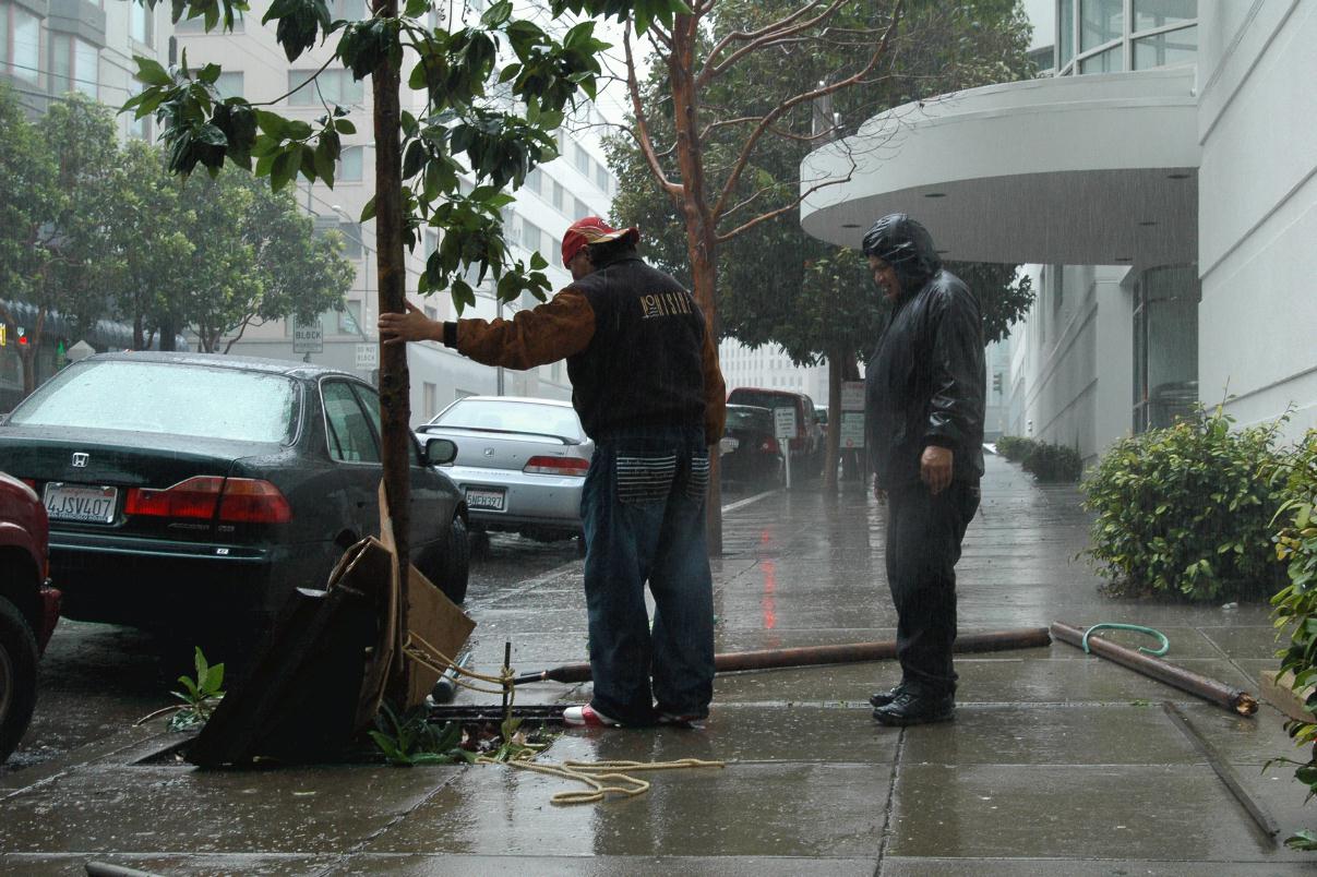 ./Rain20080104_121250_TreeRepairMainSF_9234.jpg