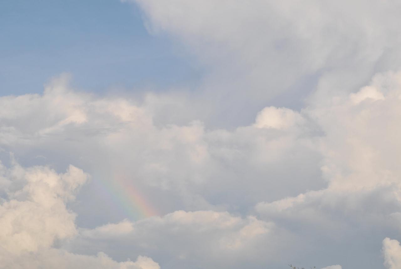 ./RainbowAmazonPeru20090407_175056_2616BCX.jpg