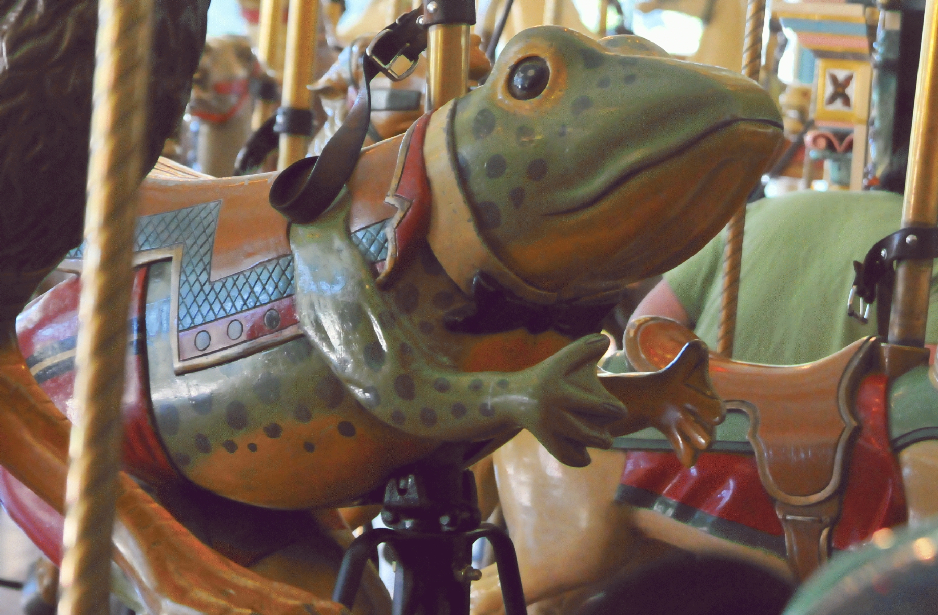 ./Tilden_Park_Carousel_20150124_145241_C15_0273.jpg