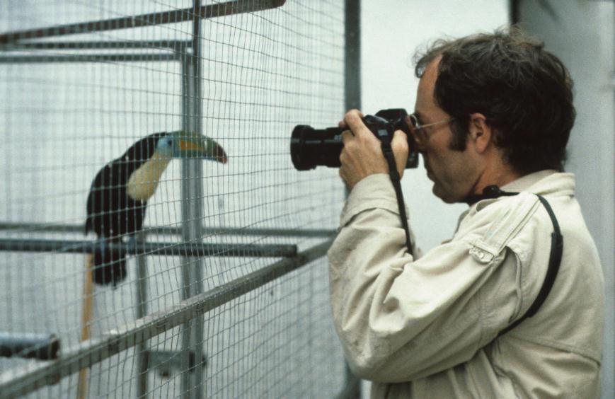 ./William_Carter_19880000_Shot_Bird_Costa_Rica_03.jpg