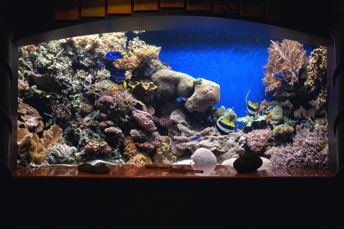 ./MontereyAquarium2007_10.jpg