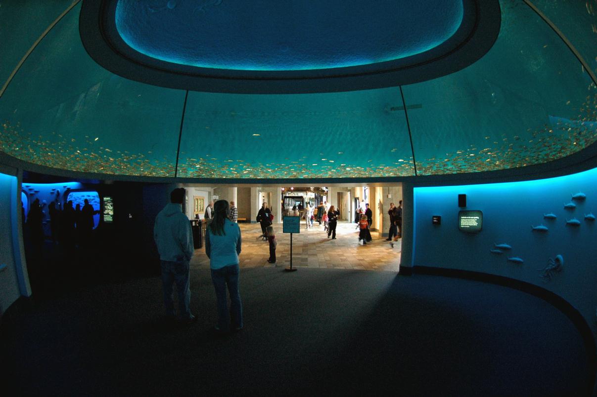 ./MontereyAquarium2007_13.jpg