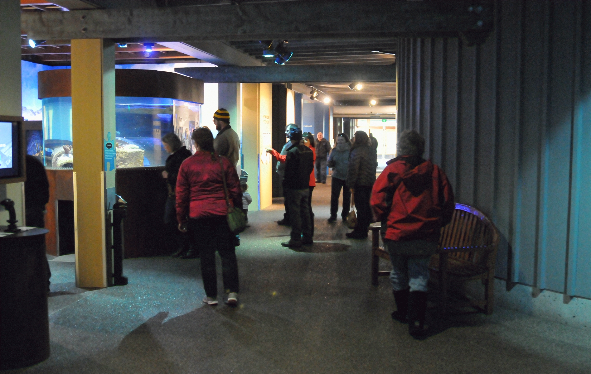 ./Newport_Aquarium_20160102_110855_C16_5811.jpg