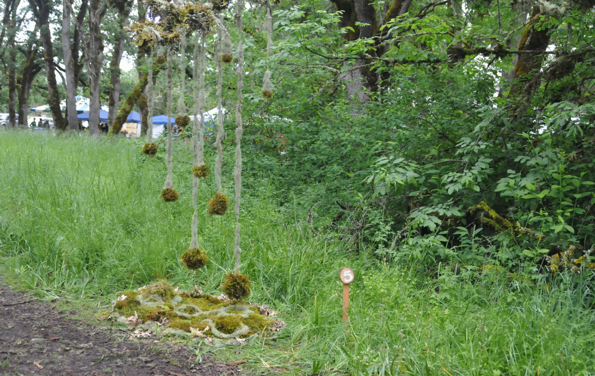 ./Mount_Pisgah_Arboretum_Wildflower_Festival_20160515_152313_C16_2057.jpg